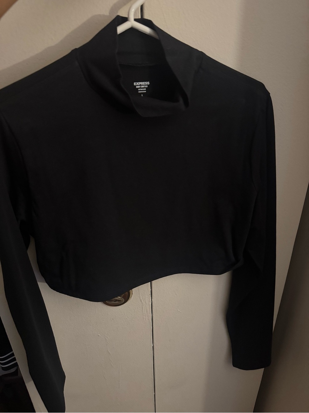 Express Black Mock Neck Long-Sleeve Cropped Top